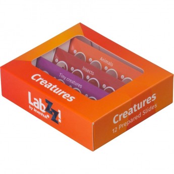 Набор микропрепаратов LEVENHUK LabZZ C12, существа