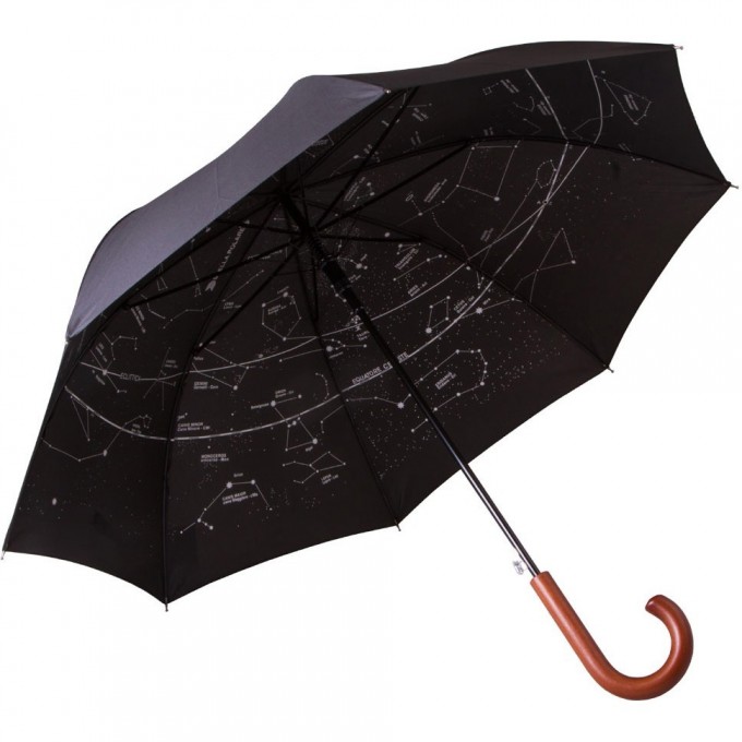 Зонт LEVENHUK Star Sky Z10 72585