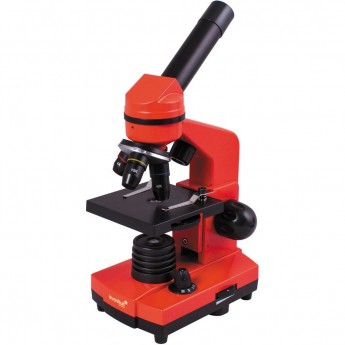Микроскоп LEVENHUK Rainbow 2L Orange\Апельсин